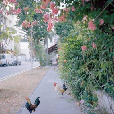 乐鱼娱乐app官网下载